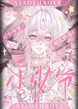 对小少爷始乱终弃后