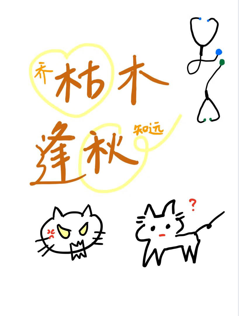 第十年回应