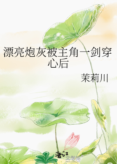 漂亮炮灰被主角一剑穿心后