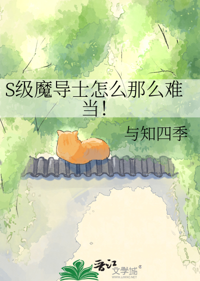 S级魔导士怎么那么难当！