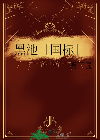 黑池［国标］