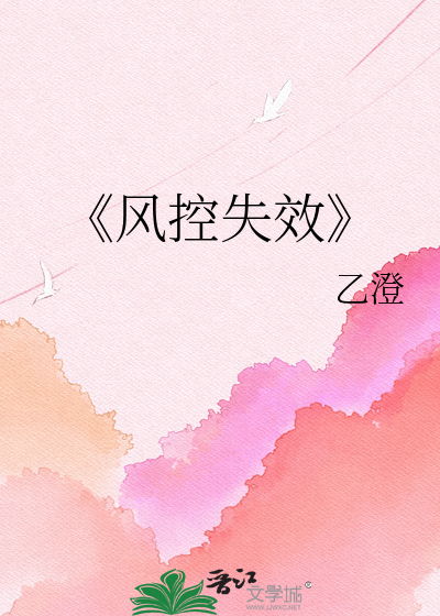 《风控失效
