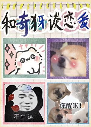 被奇犽告白以后